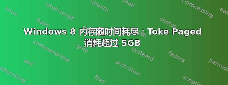 Windows 8 内存随时间耗尽：Toke Paged 消耗超过 5GB