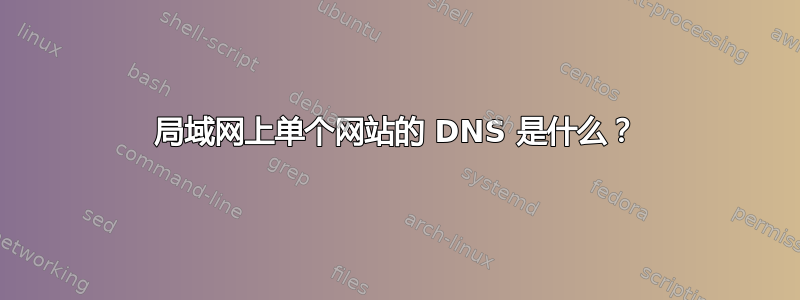 局域网上单个网站的 DNS 是什么？