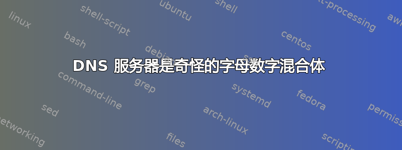 DNS 服务器是奇怪的字母数字混合体