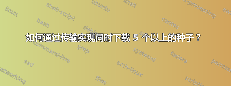 如何通过传输实现同时下载 5 个以上的种子？