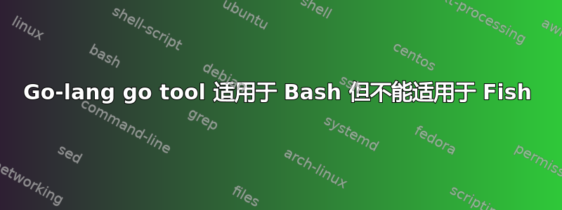 Go-lang go tool 适用于 Bash 但不能适用于 Fish