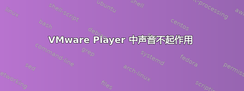 VMware Player 中声音不起作用