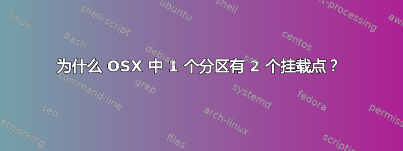 为什么 OSX 中 1 个分区有 2 个挂载点？