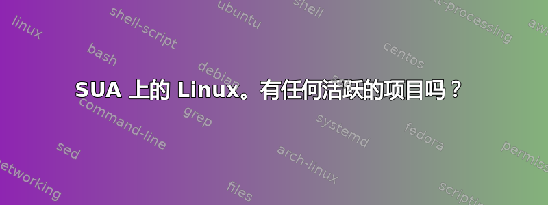 SUA 上的 Linux。有任何活跃的项目吗？