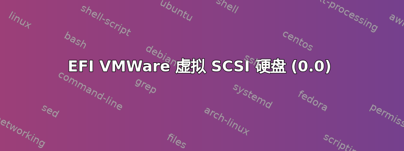 EFI VMWare 虚拟 SCSI 硬盘 (0.0)