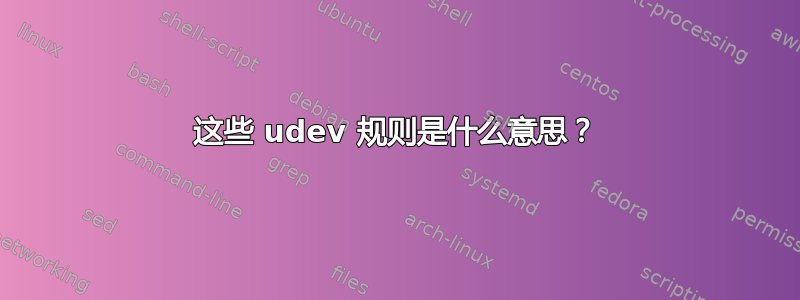 这些 udev 规则是什么意思？