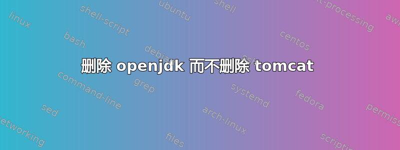 删除 openjdk 而不删除 tomcat