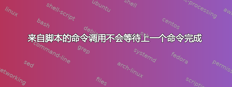 来自脚本的命令调用不会等待上一个命令完成