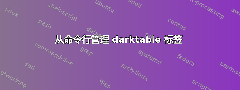 从命令行管理 darktable 标签