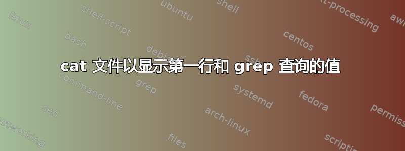 cat 文件以显示第一行和 grep 查询的值