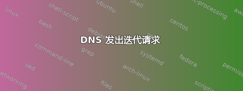 DNS 发出迭代请求