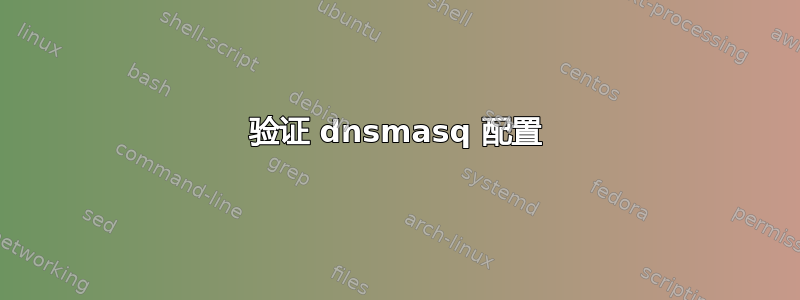 验证 dnsmasq 配置