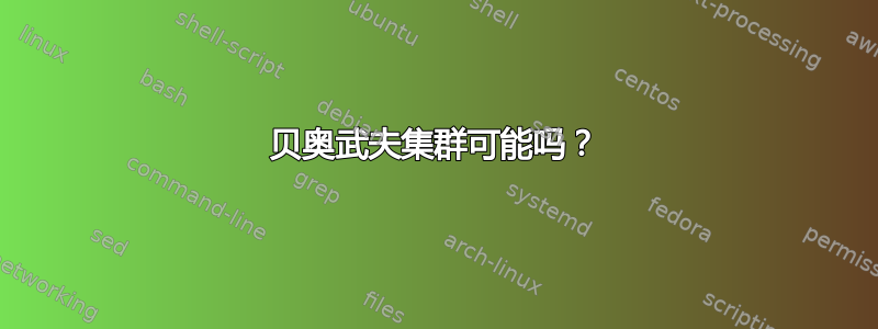 贝奥武夫集群可能吗？