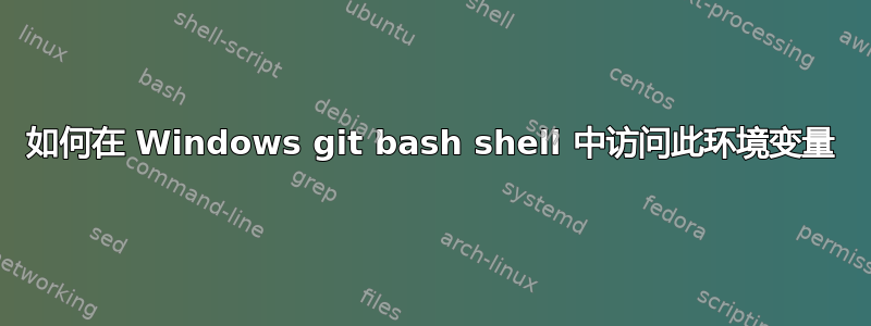 如何在 Windows git bash shell 中访问此环境变量