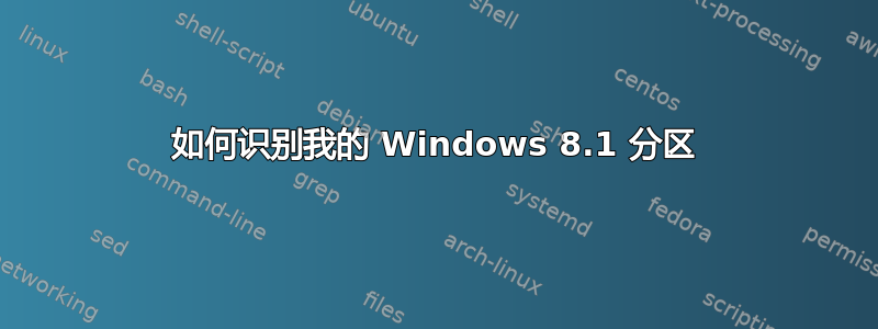 如何识别我的 Windows 8.1 分区