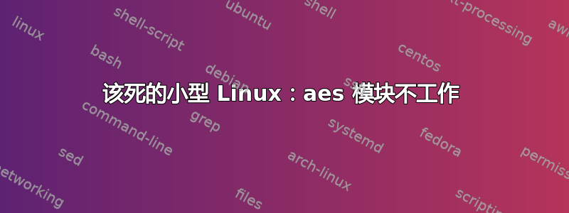 该死的小型 Linux：aes 模块不工作