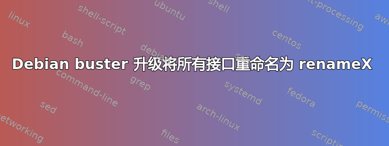 Debian buster 升级将所有接口重命名为 renameX