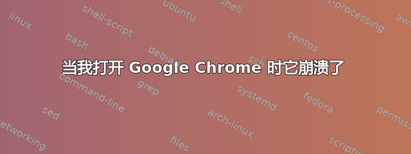 当我打开 Google Chrome 时它崩溃了