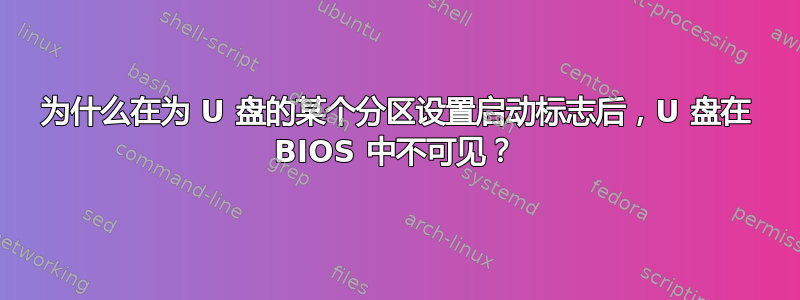 为什么在为 U 盘的某个分区设置启动标志后，U 盘在 BIOS 中不可见？