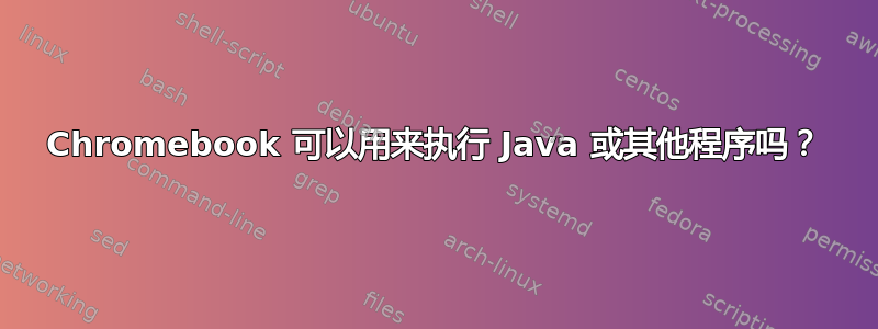 Chromebook 可以用来执行 Java 或其他程序吗？