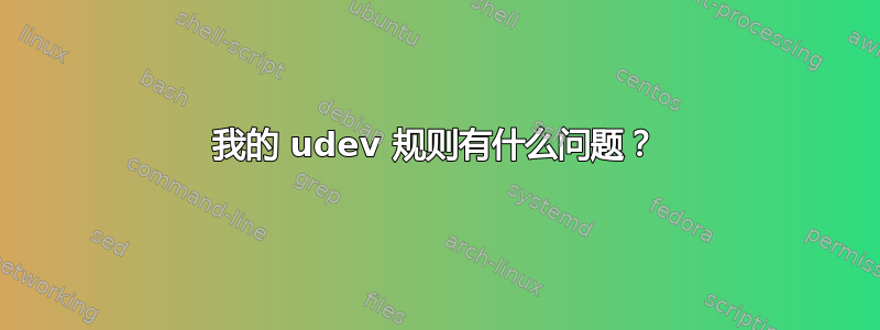 我的 udev 规则有什么问题？