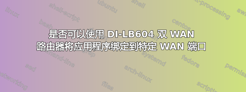 是否可以使用 DI-LB604 双 WAN 路由器将应用程序绑定到特定 WAN 端口