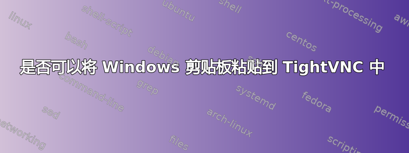 是否可以将 Windows 剪贴板粘贴到 TightVNC 中