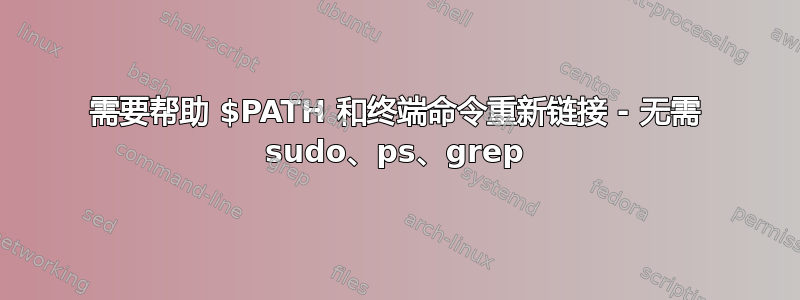 需要帮助 $PATH 和终端命令重新链接 - 无需 sudo、ps、grep