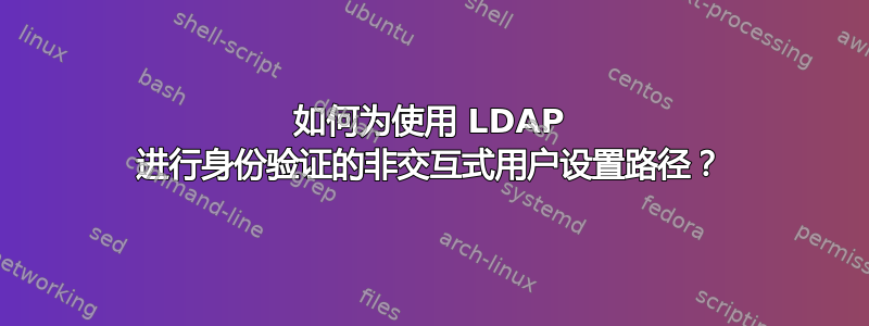 如何为使用 LDAP 进行身份验证的非交互式用户设置路径？