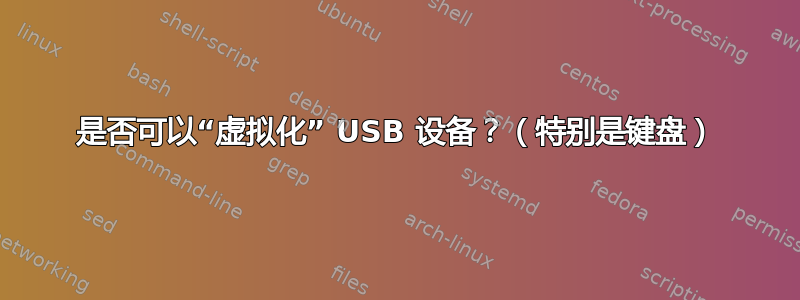 是否可以“虚拟化” USB 设备？（特别是键盘）