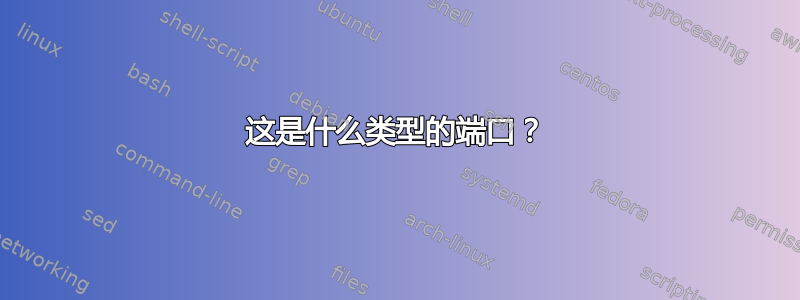 这是什么类型的端口？