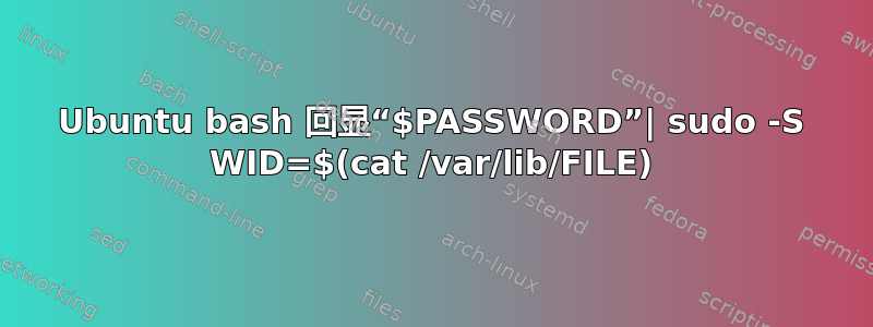 Ubuntu bash 回显“$PASSWORD”| sudo -S WID=$(cat /var/lib/FILE)