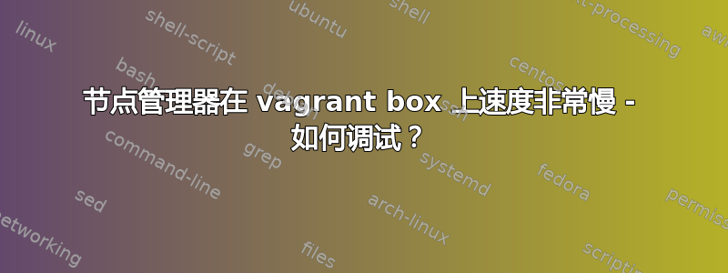 节点管理器在 vagrant box 上速度非常慢 - 如何调试？