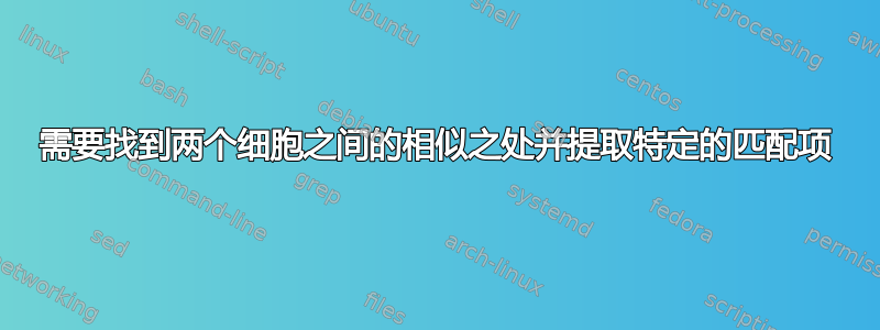 需要找到两个细胞之间的相似之处并提取特定的匹配项