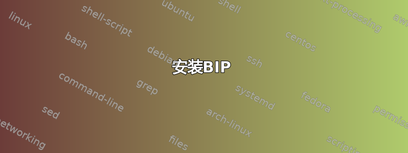 安装BIP