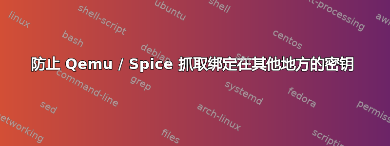 防止 Qemu / Spice 抓取绑定在其他地方的密钥