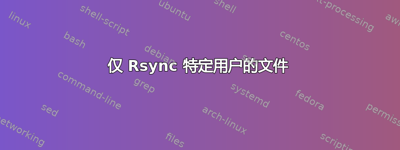 仅 Rsync 特定用户的文件