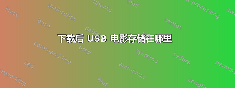 下载后 USB 电影存储在哪里 