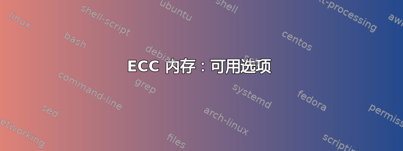 ECC 内存：可用选项