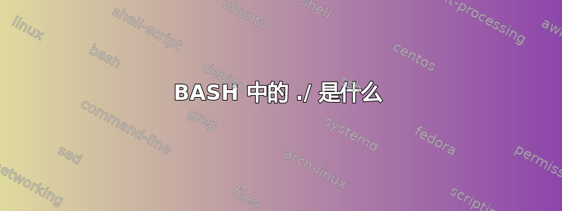 BASH 中的 ./ 是什么