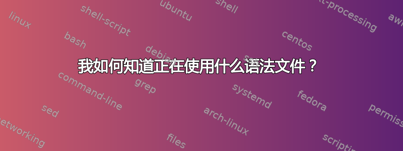 我如何知道正在使用什么语法文件？