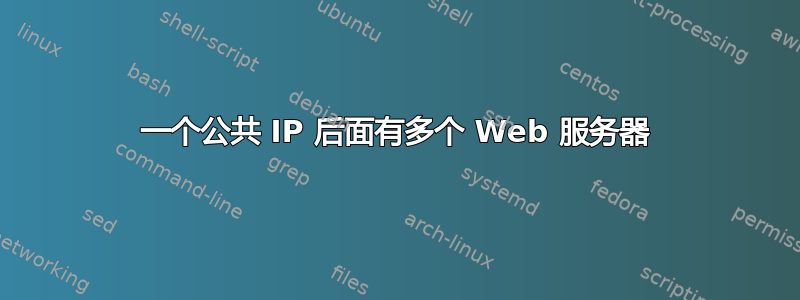 一个公共 IP 后面有多个 Web 服务器