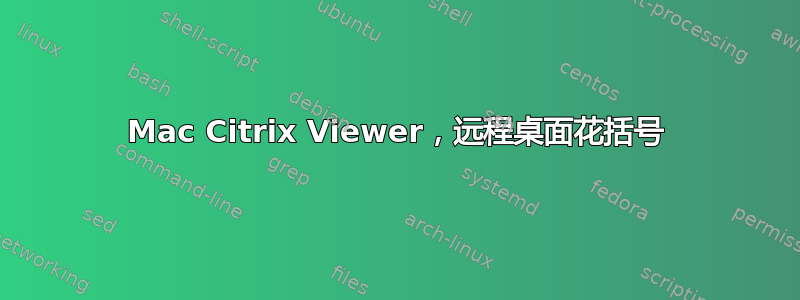 Mac Citrix Viewer，远程桌面花括号