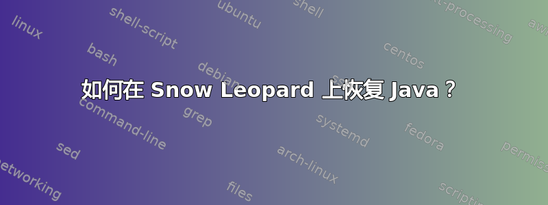 如何在 Snow Leopard 上恢复 Java？