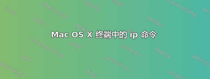 Mac OS X 终端中的 ip 命令