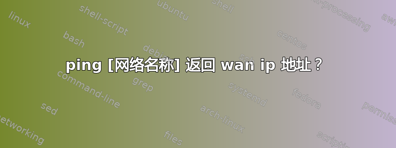 ping [网络名称] 返回 wan ip 地址？