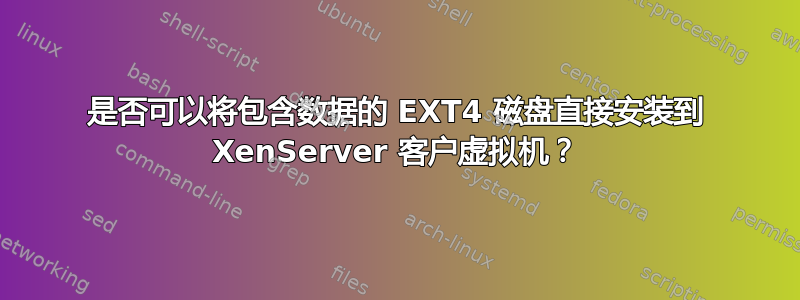 是否可以将包含数据的 EXT4 磁盘直接安装到 XenServer 客户虚拟机？