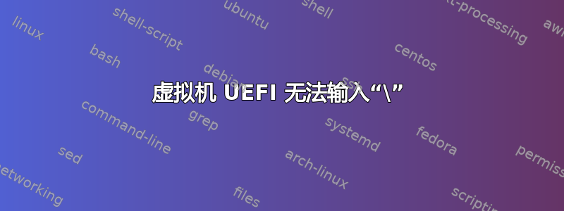 虚拟机 UEFI 无法输入“\”