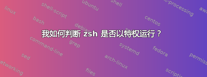 我如何判断 zsh 是否以特权运行？