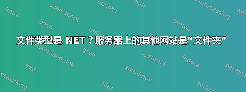 文件类型是 NET？服务器上的其他网站是“文件夹”